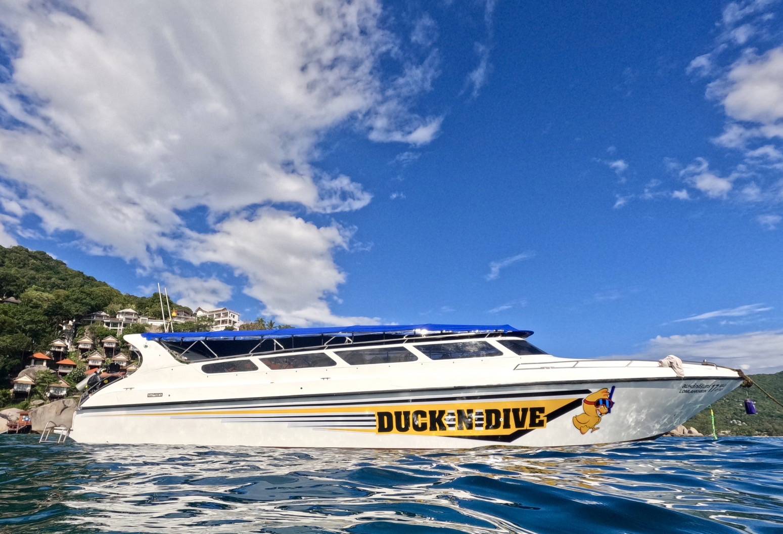 Duck 'n Dive image 1